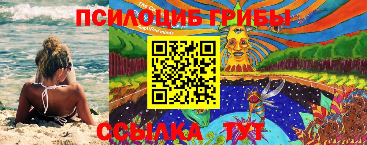 Псилоцибиновые грибы Psilocybe  продажа наркотиков  Кудымкар  Вход с VPN 