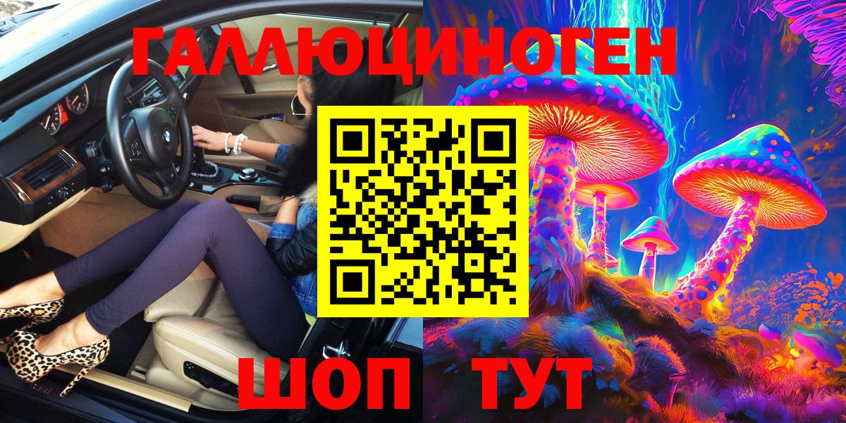 Галлюциногенные грибы Psilocybine cubensis Кудымкар